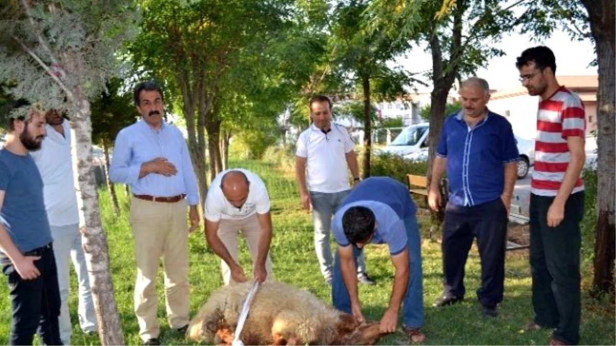 Püskürtülen Darbe İçin Kurban Kestiler