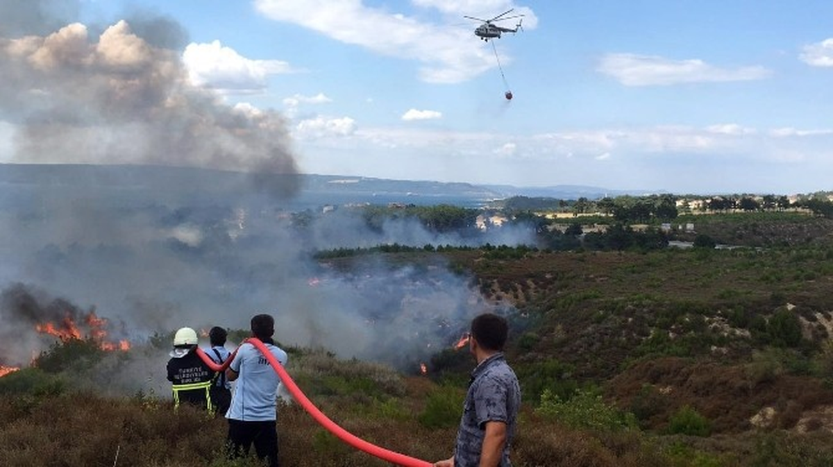 Çanakkale\'de Büyük Orman Yangını