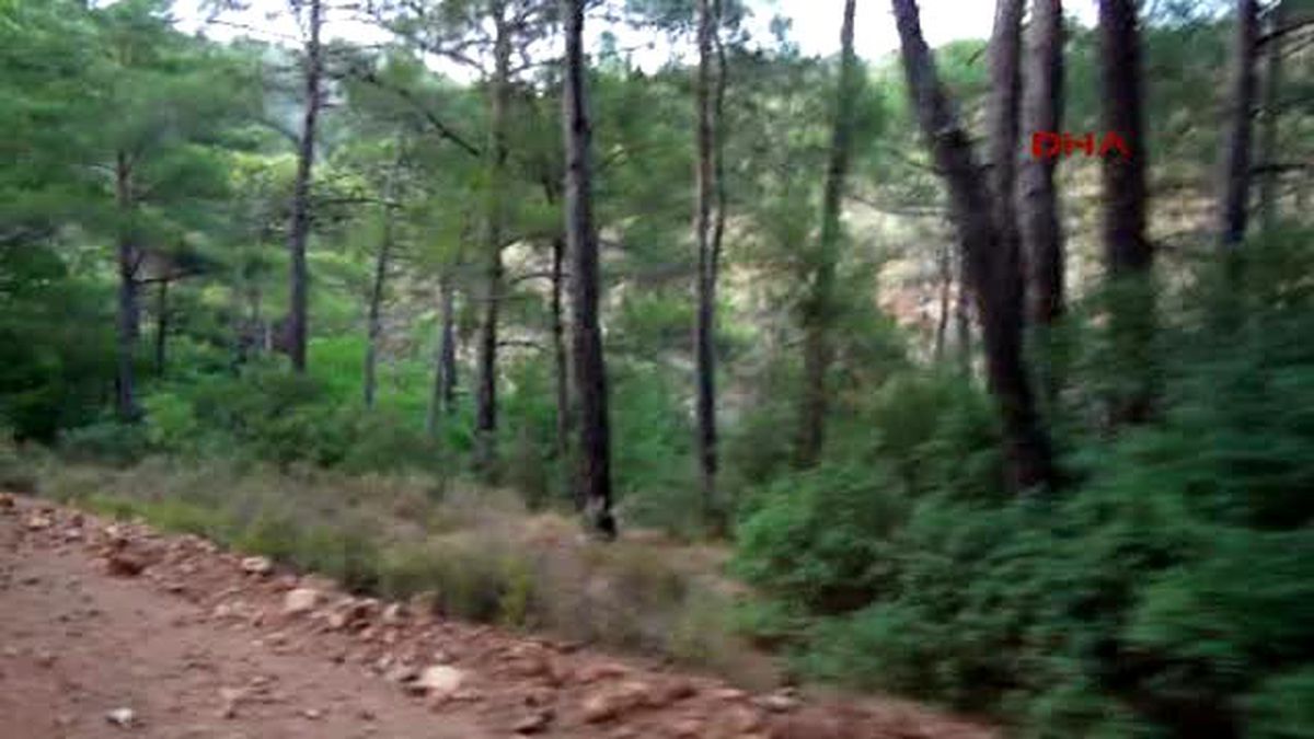 Marmaris Darbeci Askerler İçin Marmaris\'te Her Ağacın Dibi Aranıyor