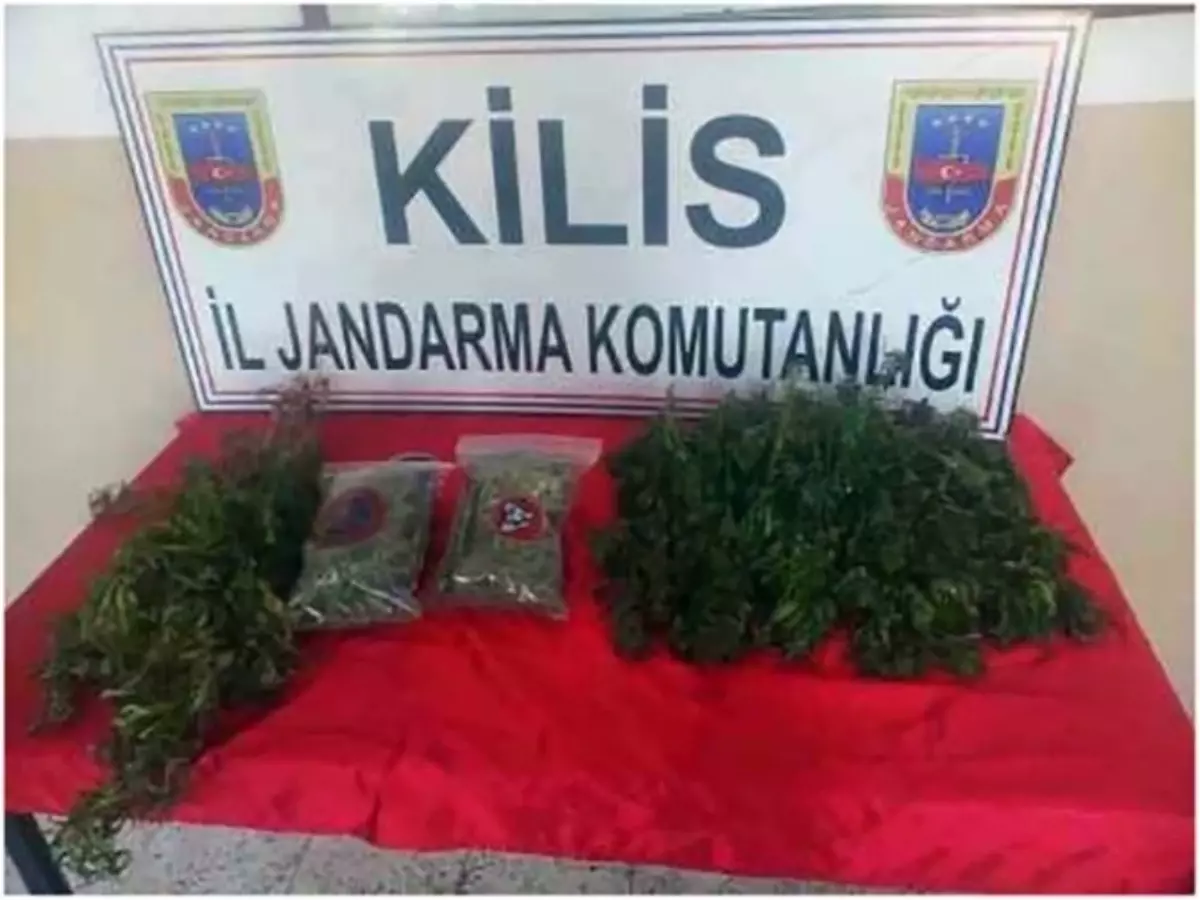 Kilis\'te Kubar Esrar ile Hint Keneviri Ele Geçirildi