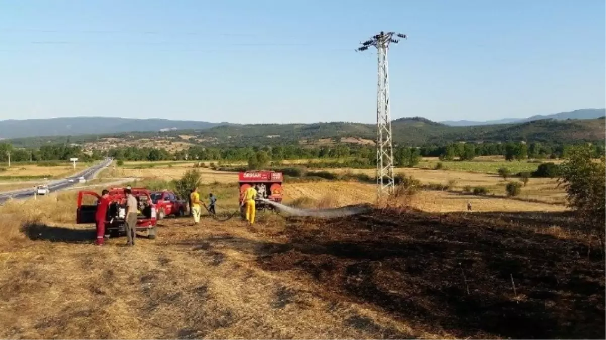 Çan\'da Tarım Arazisinde Yangın