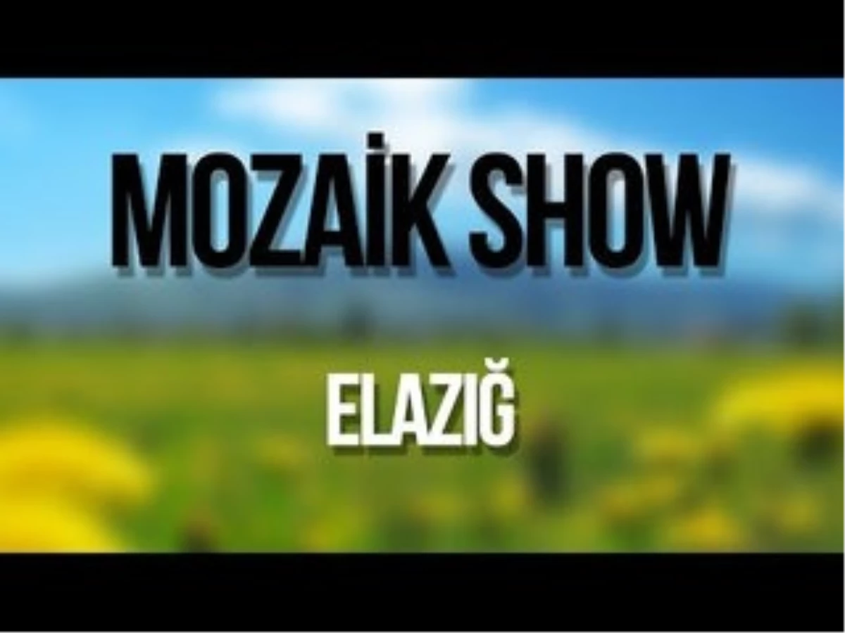 Mozaik Show - Elazığ (Konuklar : Fatih - Şebnem Kısaparmak)