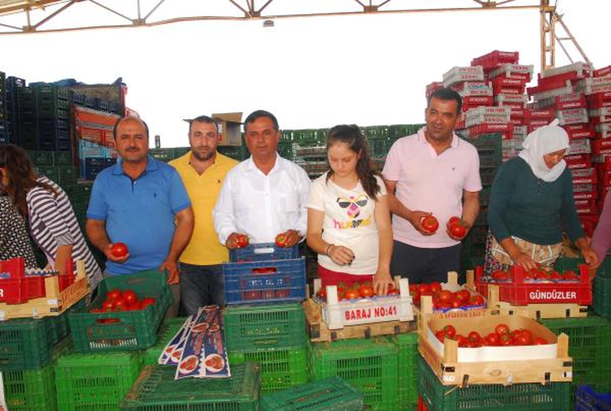 Çal\'dan İlk Domatesler Rusya\'ya