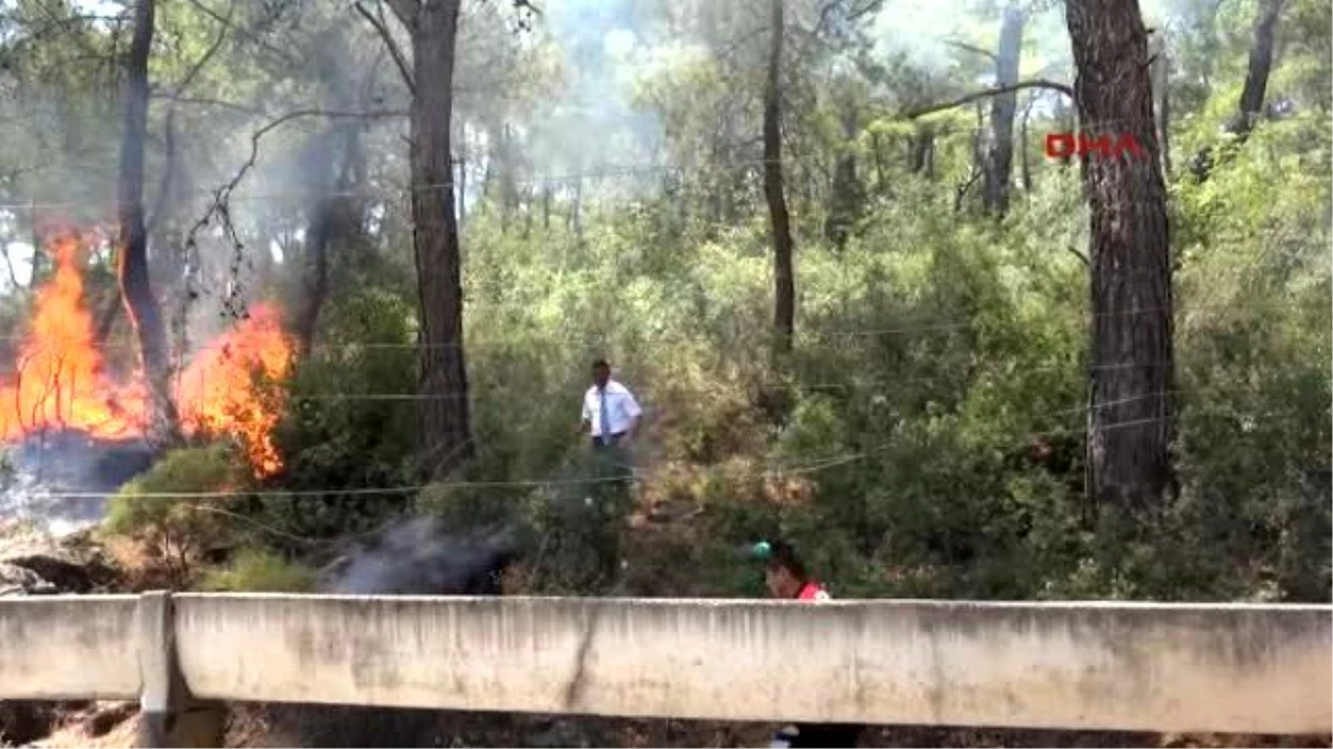 Kemer Yolcu Otobüsünün Devirdiği Elektrik Direği Orman Yangını Çıkardı