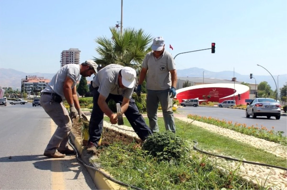 Alaşehir\'de Parklar ve Kavşaklar Çiçek Açtı