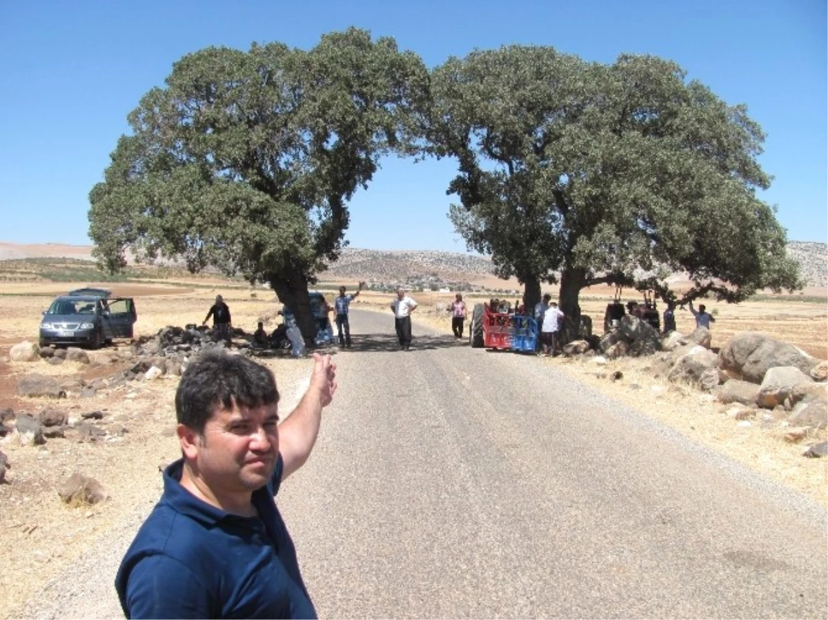 Alevi Vatandaşlar Daragir Ziyaretine Çevre Düzenlemesi İstiyor