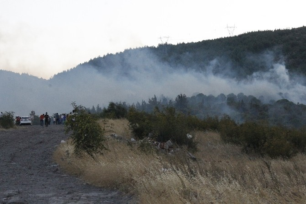 Balıkesir\'de 2 Hektarlık Çam Ormanı Kül Oldu