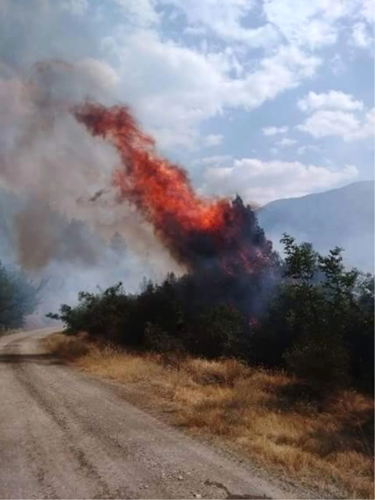 Kastamonu\'da 4 Samanlık ve 50 Dönümlük Ekili Tarım Arazisi Yandı
