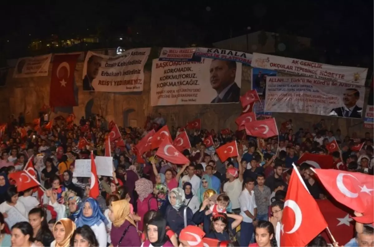 Mardin\'de Demokrasi Nöbeti Devam Ediyor