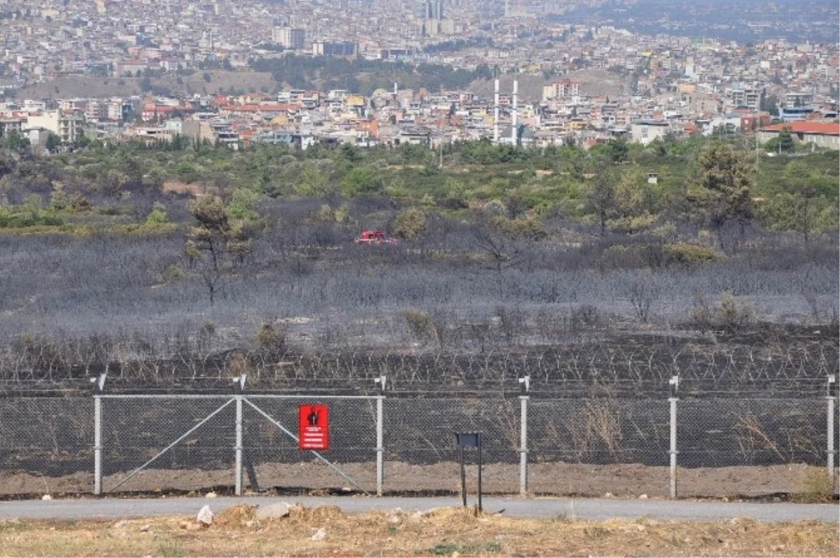 İzmir\'deki Orman Yangınında Sabotaj İhtimali Araştırıyor