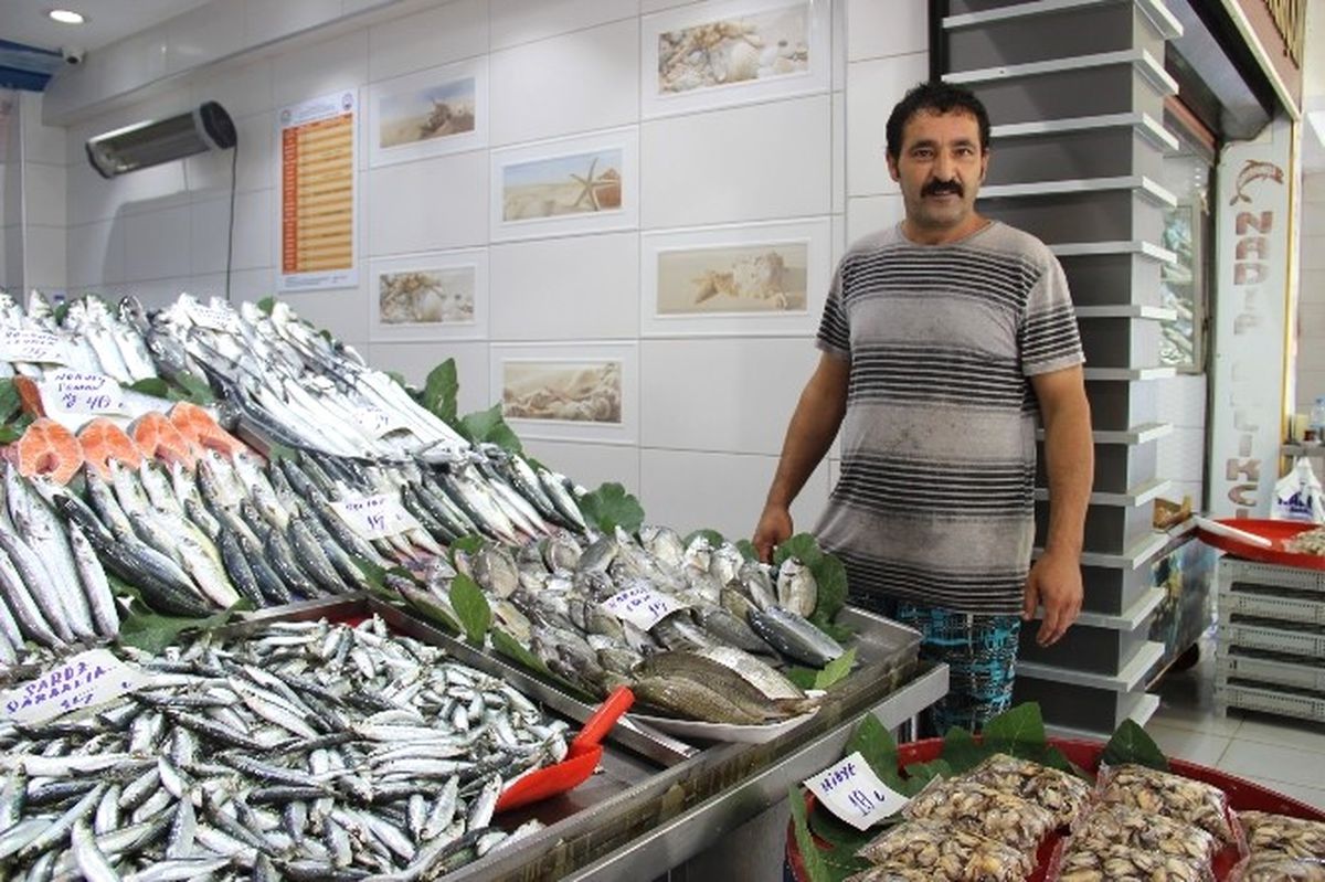 Balıklar El Yakıyor