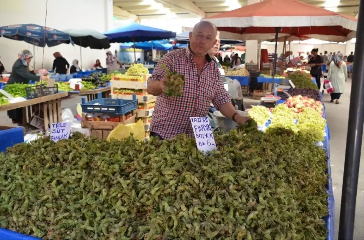 Bilecik\'te Yaş Fındık Tezgahlardaki Yerini Aldı