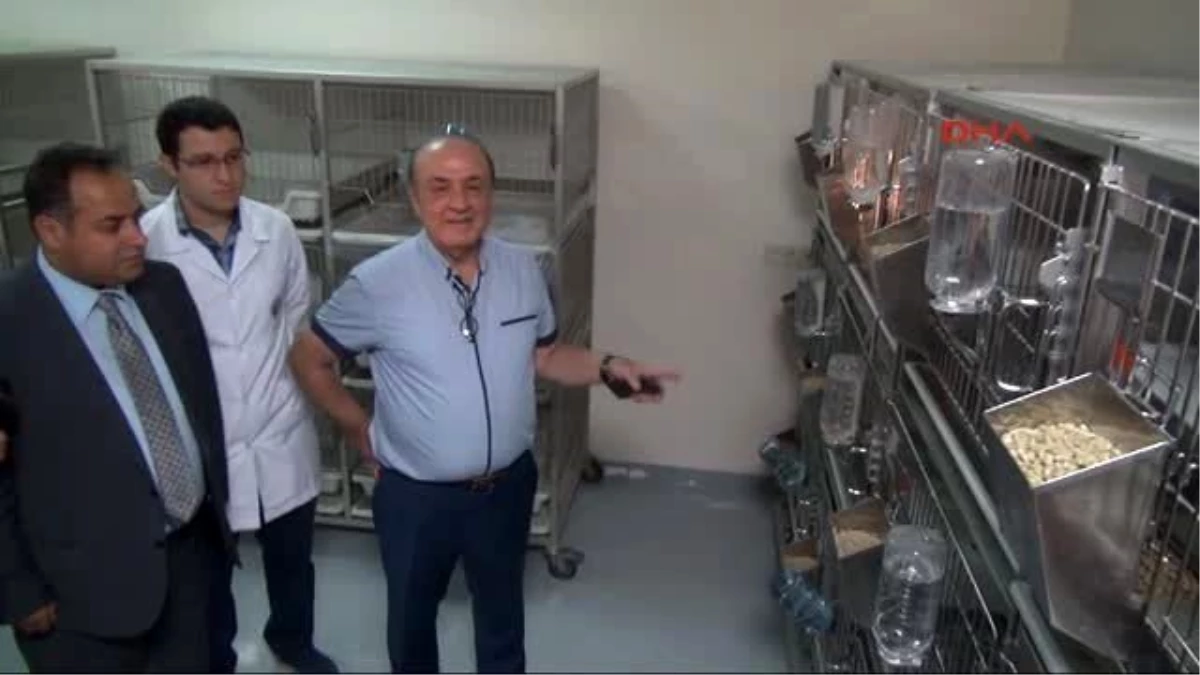 Gaziantep Kapatılan Üniversitedeki Deney Hayvanları Gaziantep Üniversitesi\'ne Taşındı