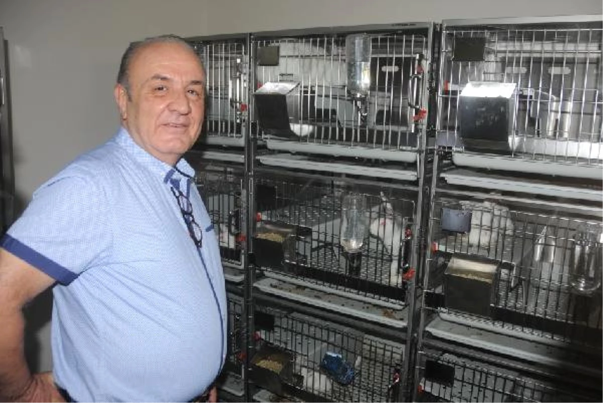 Kapatılan Üniversitedeki Deney Hayvanları Gaziantep Üniversitesi\'ne Taşındı