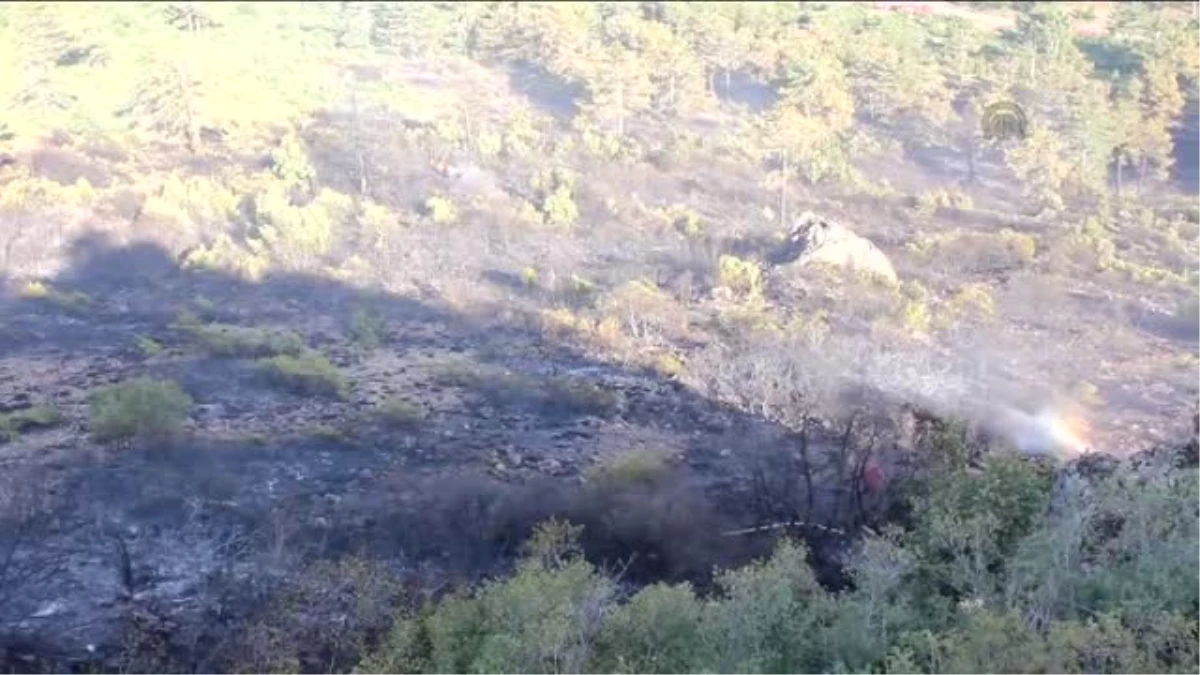 Kontrol Altına Alınan Yangında Yaklaşık 5 Hektarlık Alan Zarar Gördü