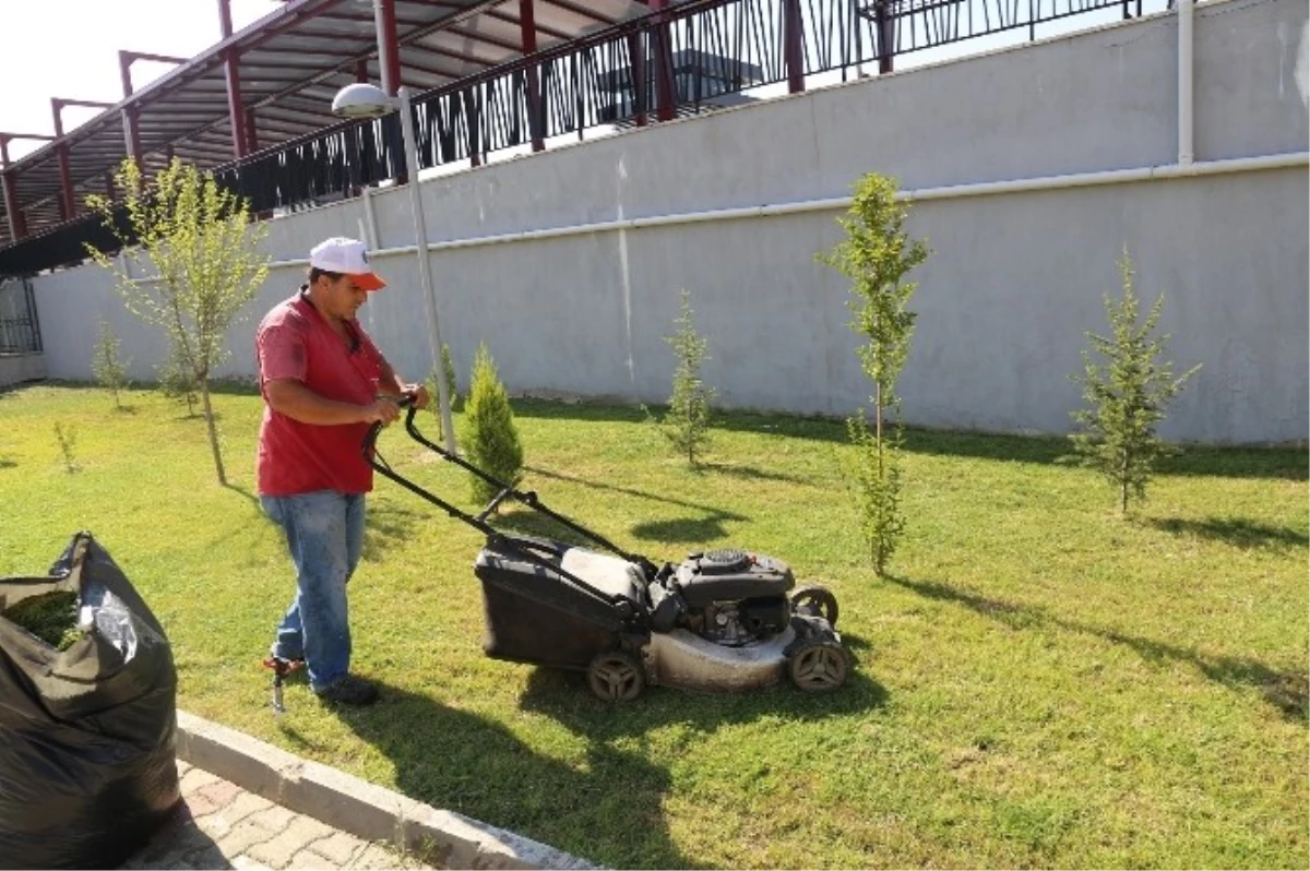 Turgutlu\'nun Yeşil Alanları Kontrol Altında