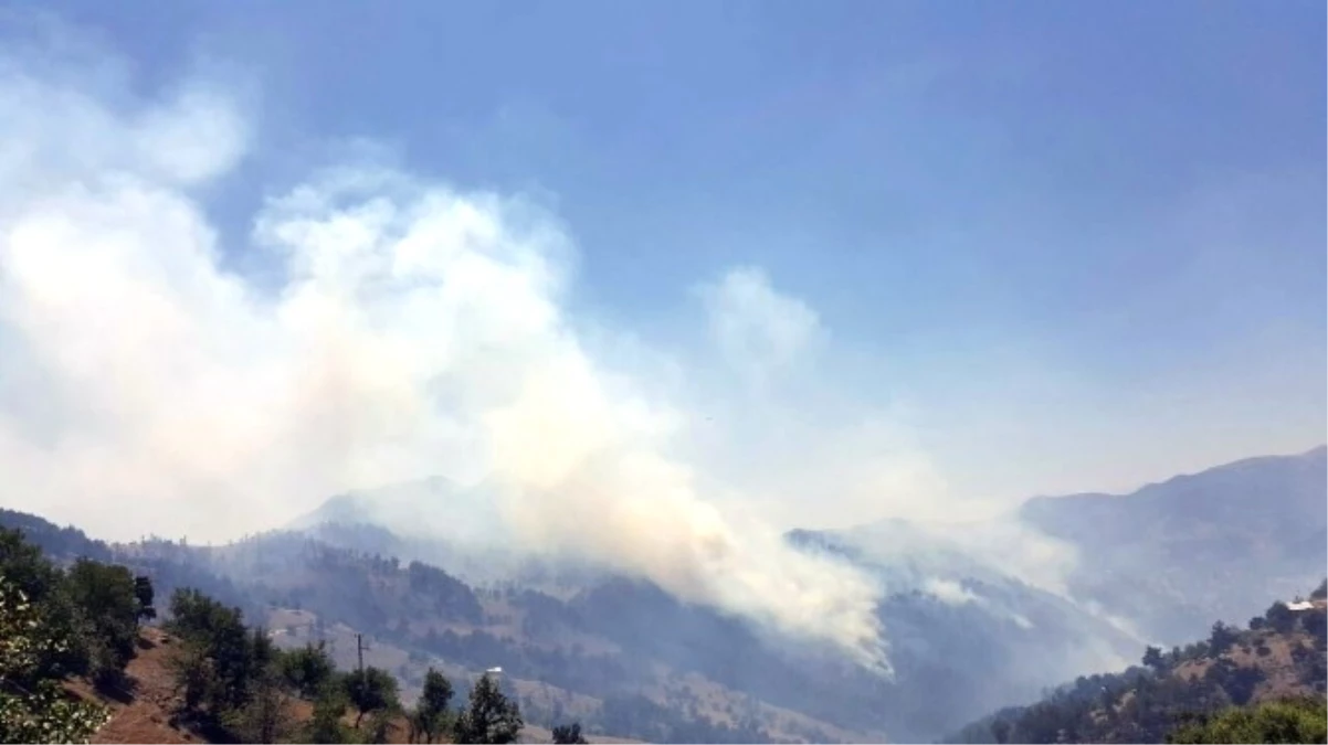 Adana\'da Orman Yangını