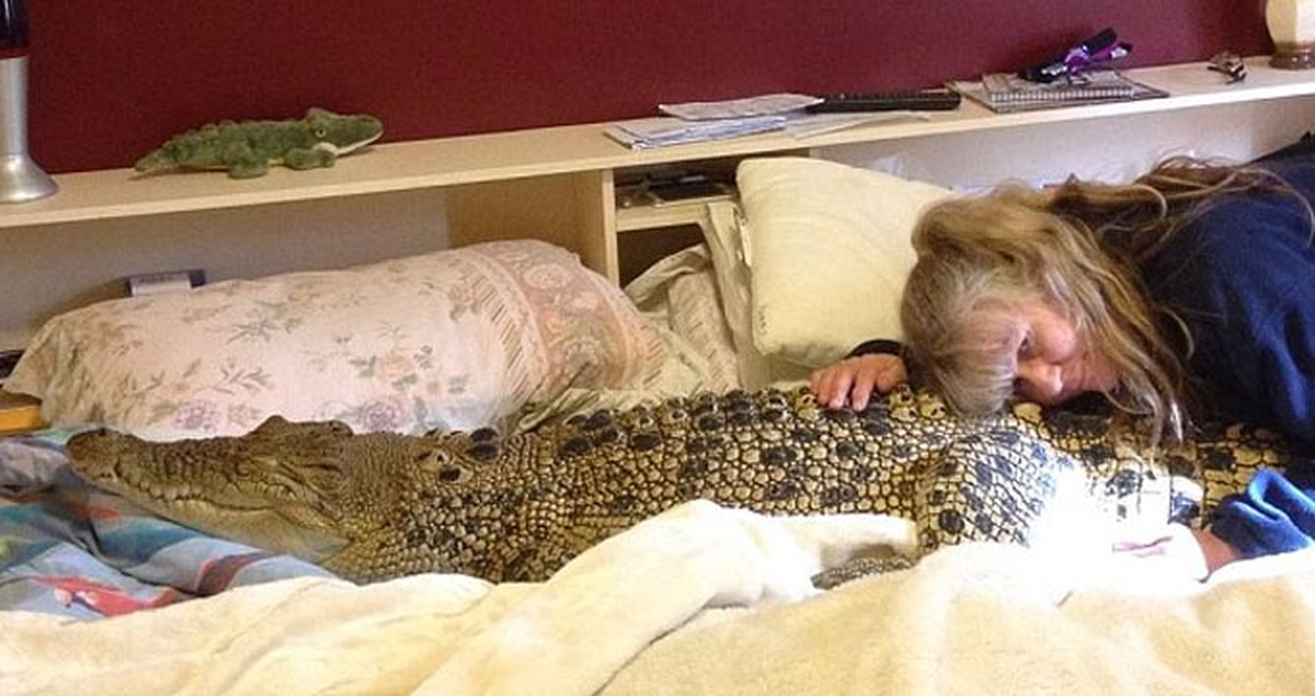 Avusturalya'lı Kadın Bir Timsahı Ev Arkadaşı Edindi