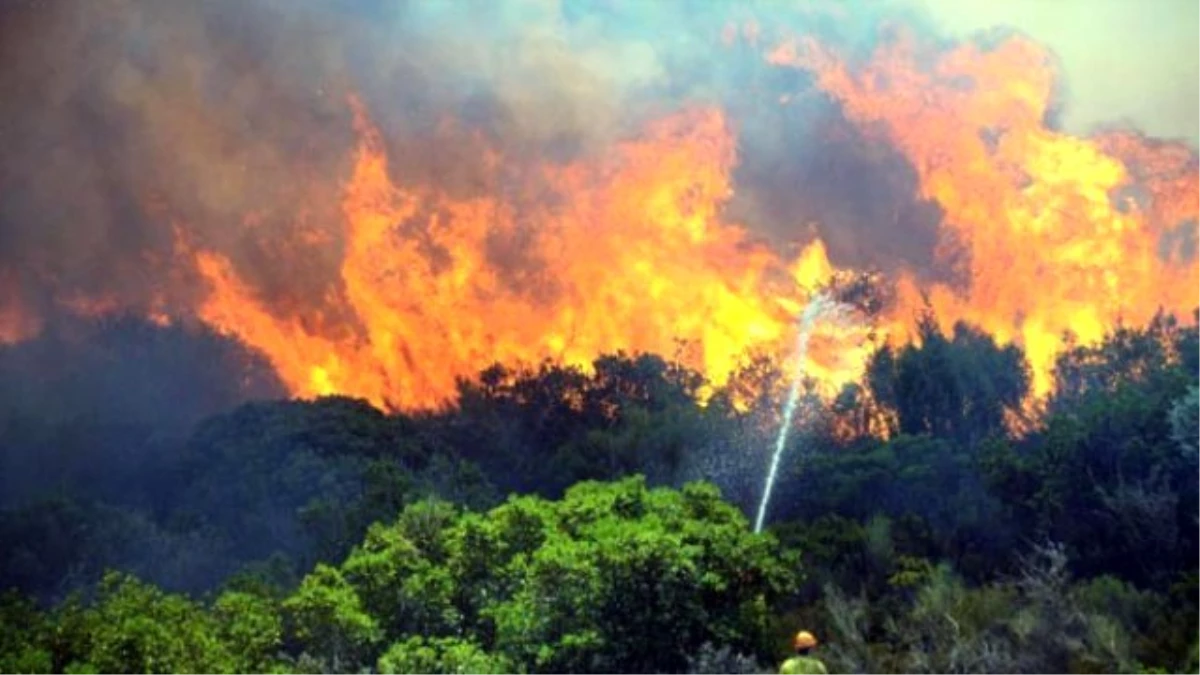 Bodrum\'da Orman Yangını Çıktı! 1 İşçi Yaralandı