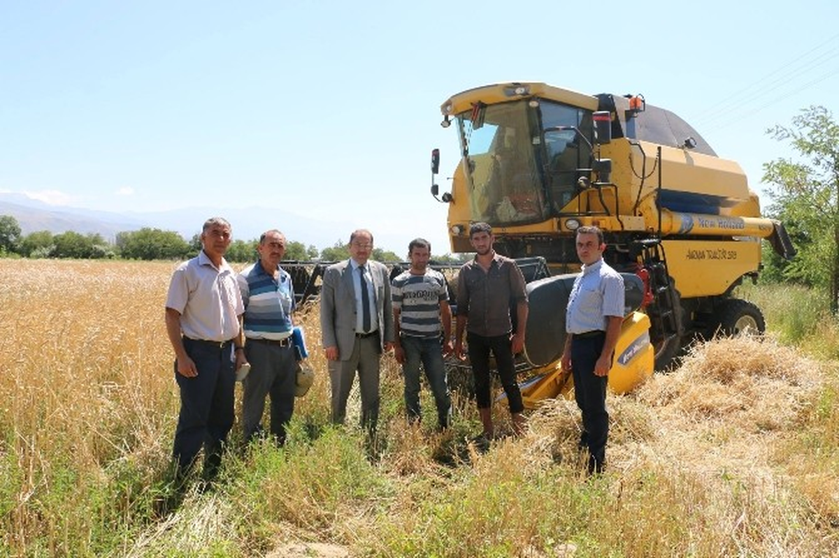 Erzincan\'da Hububat Hasadına Sıkı Denetim