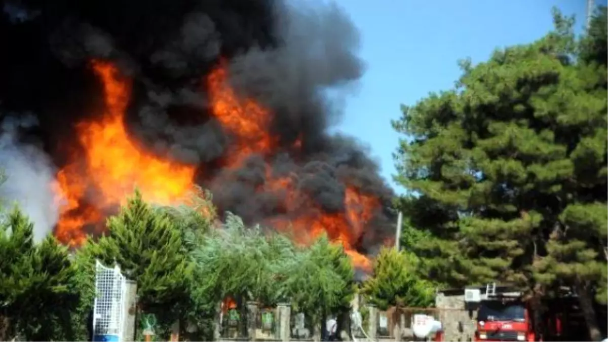 Ormanlık Alandaki Restoranda Yangın - Gaziantep