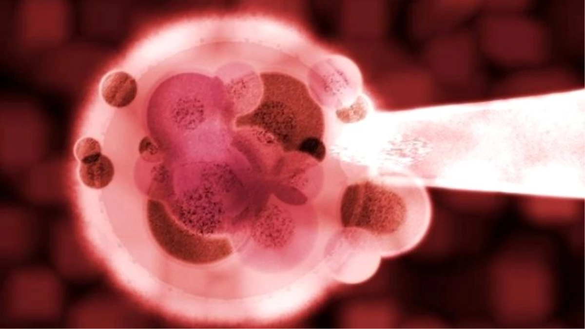 Tüp Bebek Merkezi Kapatıldı, Embriyoların Peşine Düşüldü