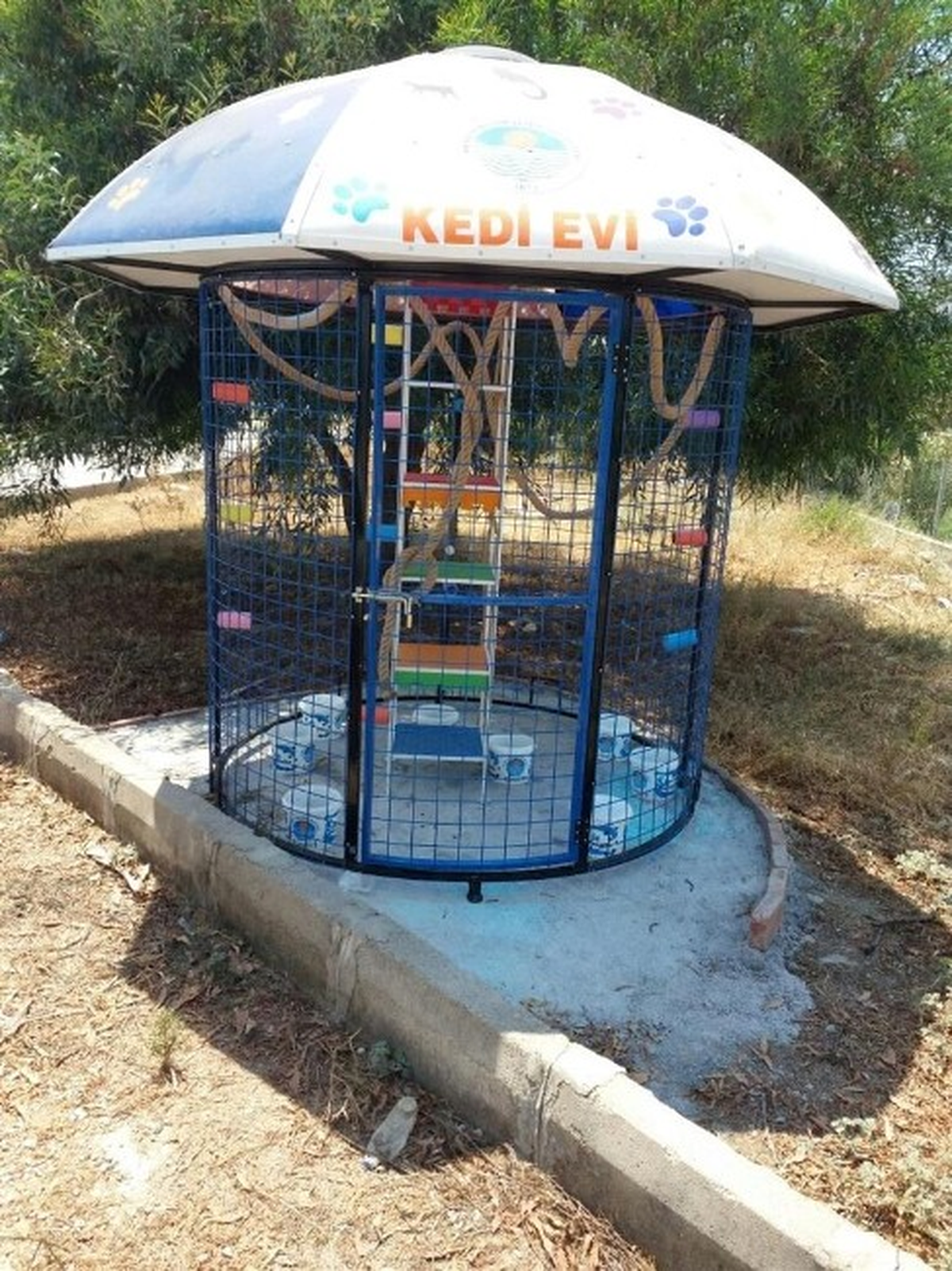 Anamur\'da Kedilere Ev