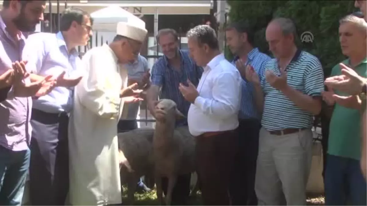 Fetö\'nün Darbe Girişimine Dünyadan Tepkiler