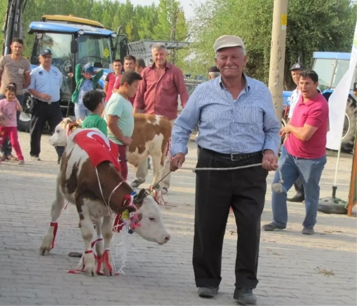 Hayvan Üreticisinden Darbe Girişimine İlginç Protesto