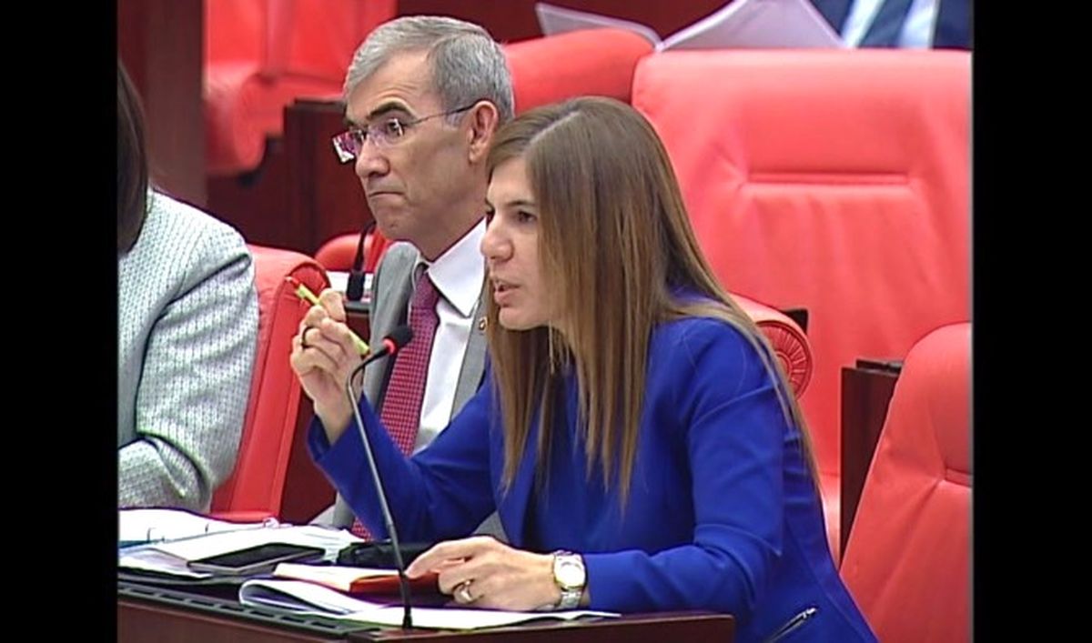 İnceöz\'den Batı Basınına Tepki