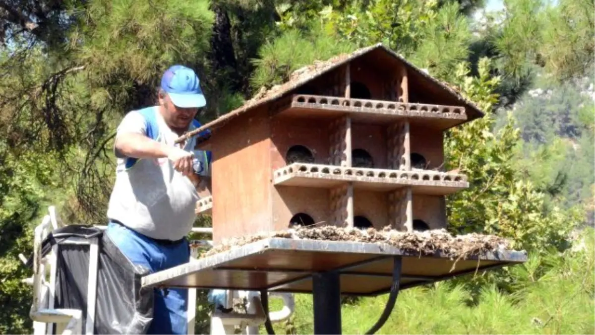 Kuş Yuvalarının Bakımları Yapıldı