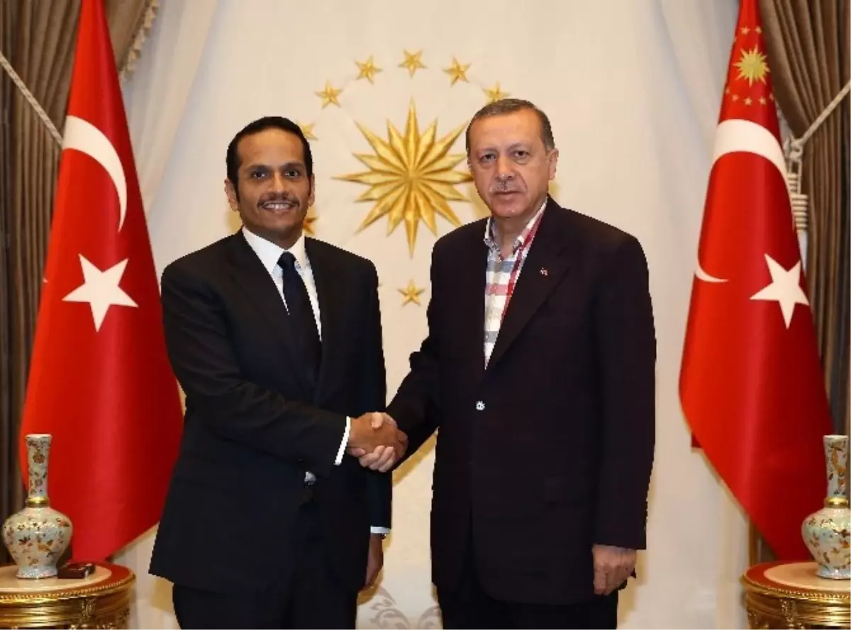 Cumhurbaşkanı Erdoğan, Katar Dışişleri Bakanı Abdurrahman Al-Thani\'yi Kabul Etti