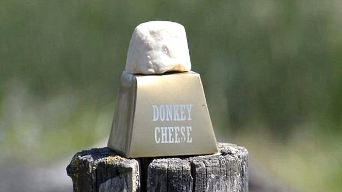 Dünya'nın En Pahalı Peynirinin Fiyatı 2 Bin 800 Türk Lirası