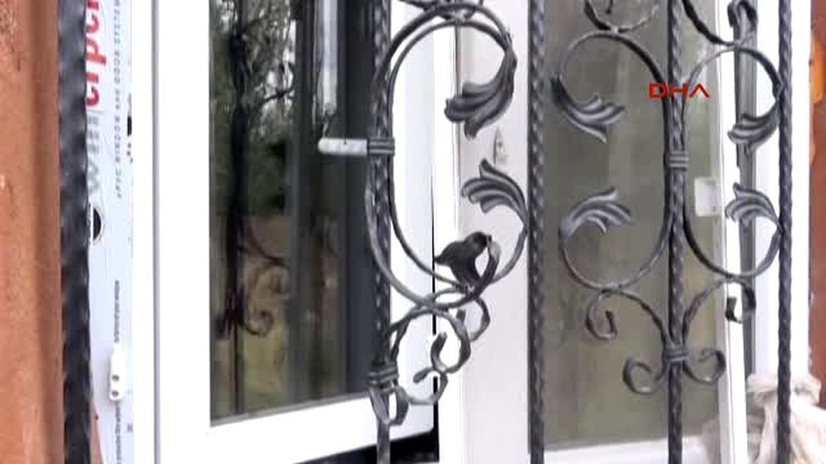 Ağrı 70 Yaşındaki Yalnız Kadını, Hırsızlar Ağlattı