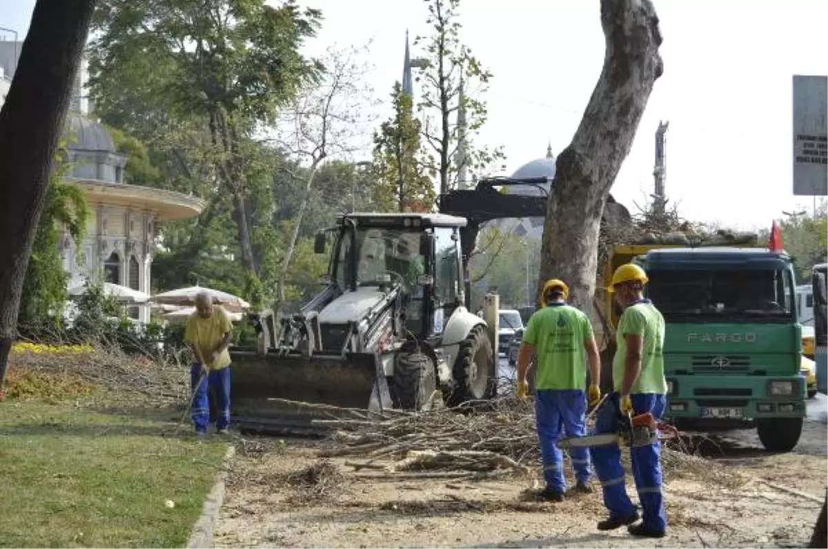 Belediye İşçileriyle Sürücünün "Trafik Sıkıştı" Kavgasında Silah Çekildi