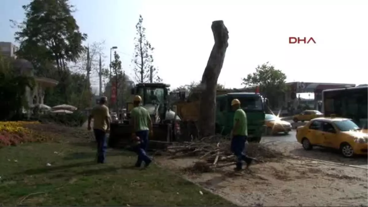 Belediye İşçileriyle Sürücünün Trafik Sıkıştı Kavgasında Silah Çekildi