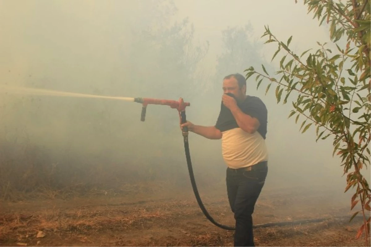 Osmaneli\'de Çıkan Orman Yangınını Söndürme Çalışmaları Devam Ediyor