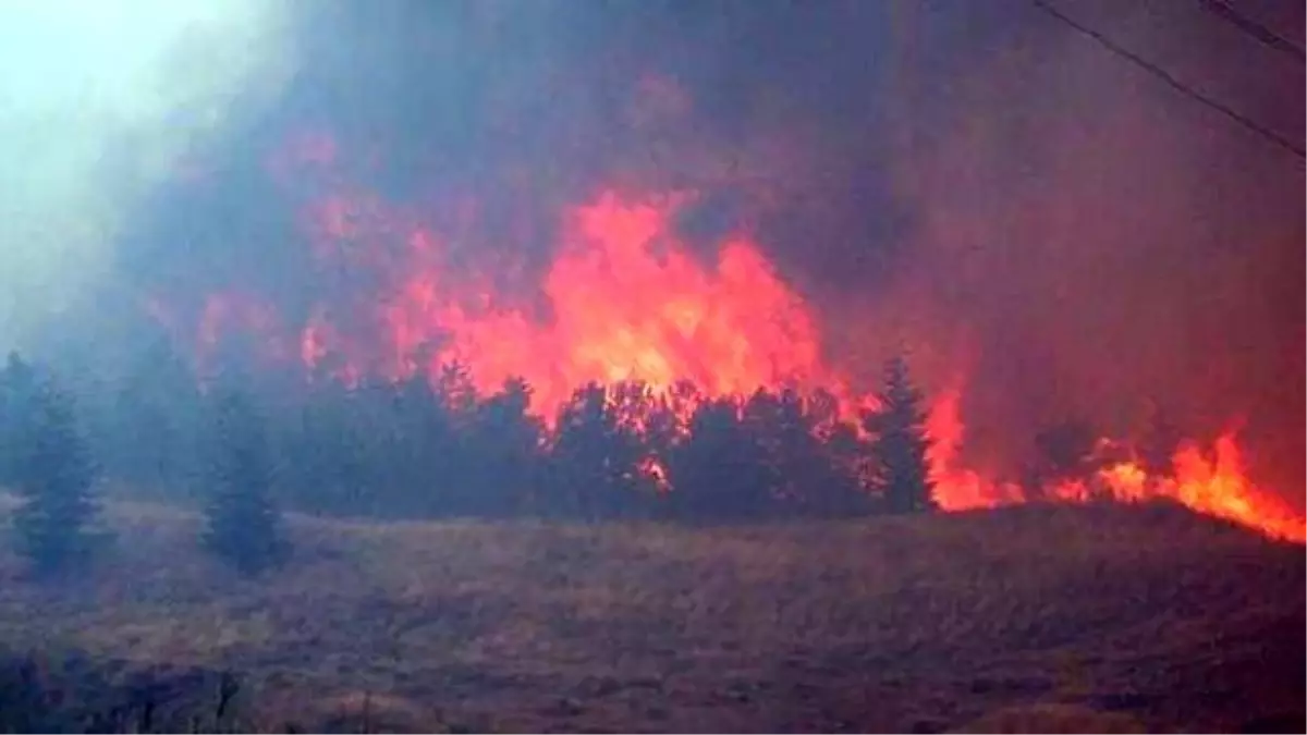 Çanakkale\'de Orman Yangını