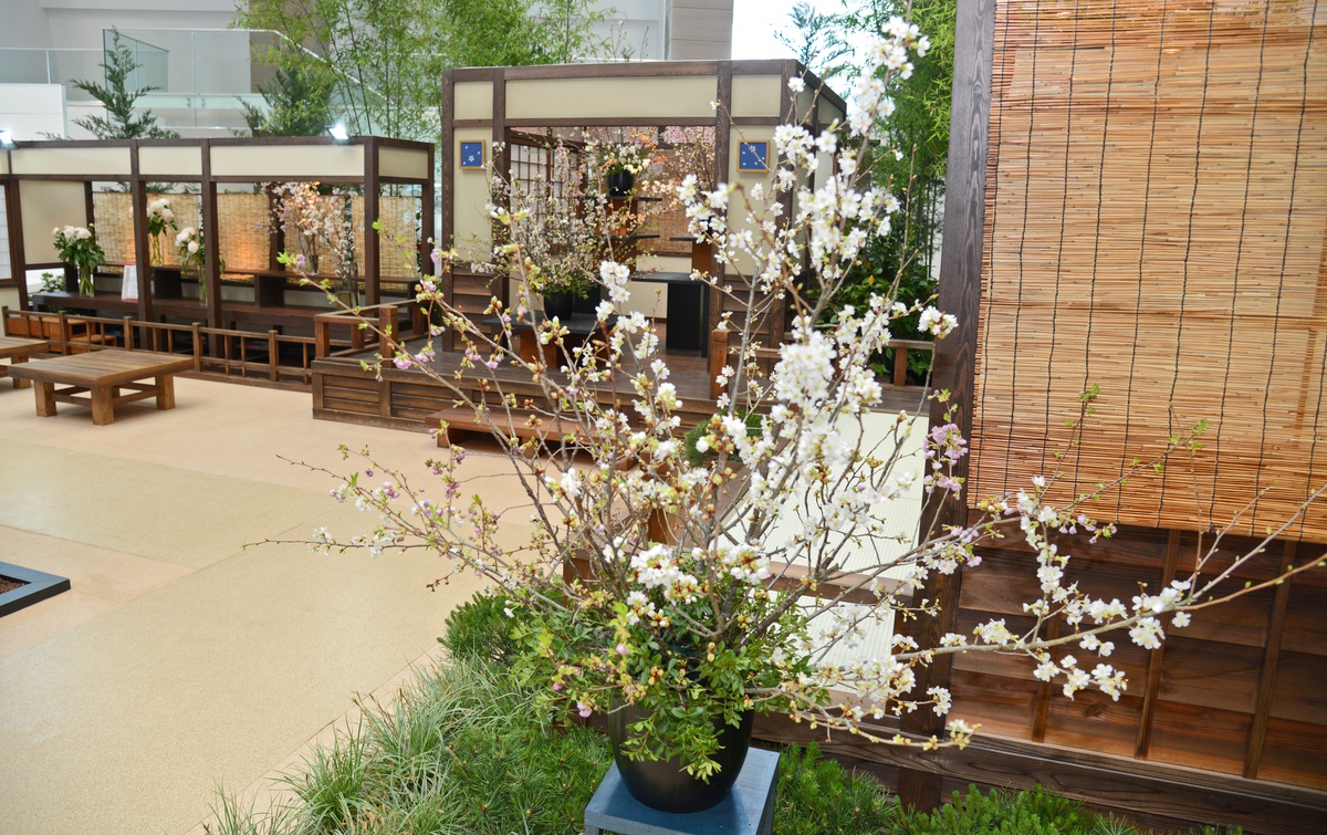EXPO 2016\'da Japon iç bahçesine madalya yağdı