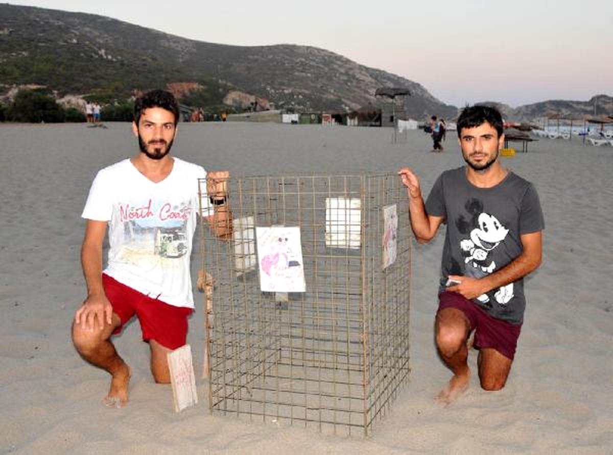 Patara Plajı\'nda 195 Caretta Yuvası Korunuyor