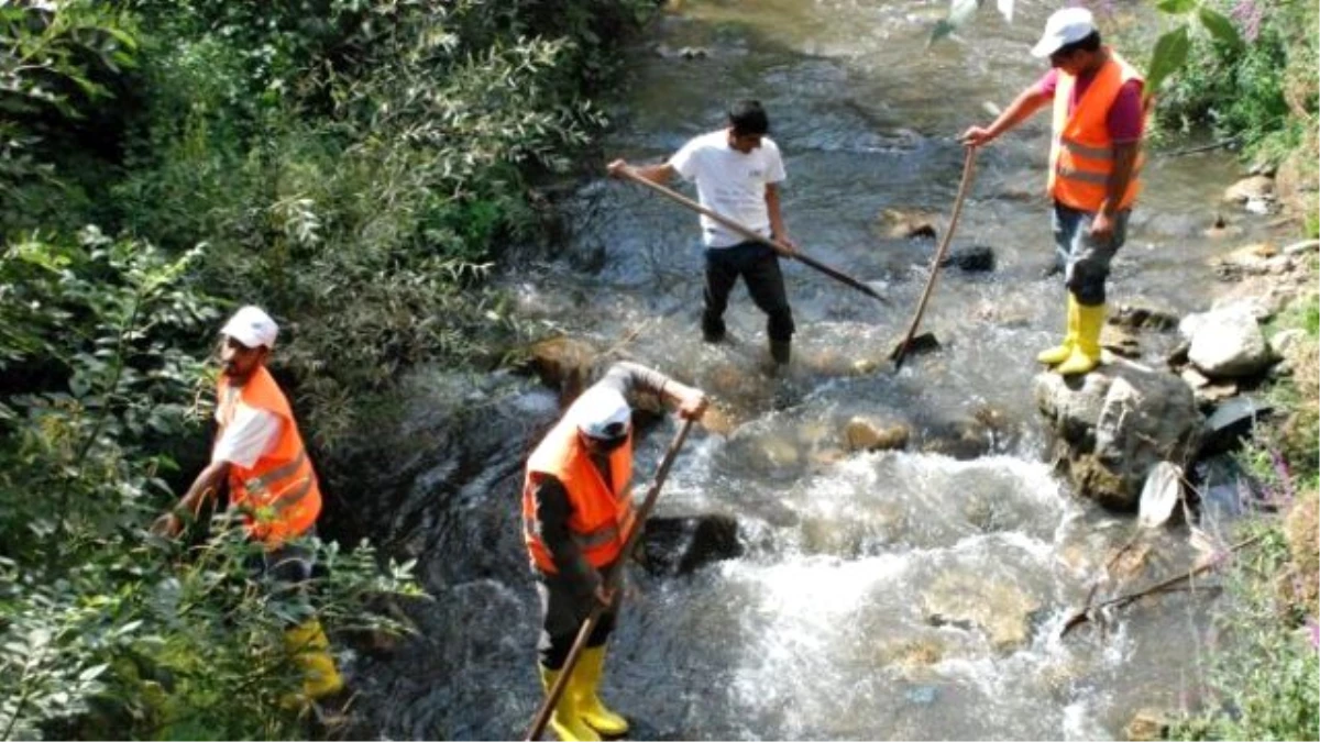 Bitlis Deresi\'nde Temizlik Çalışması Başlatıldı
