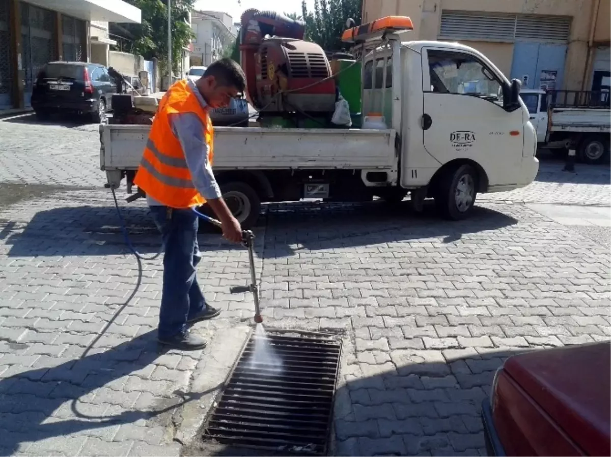 Germencik Belediyesi Haşerelerle Mücadelede Hız Kesmiyor