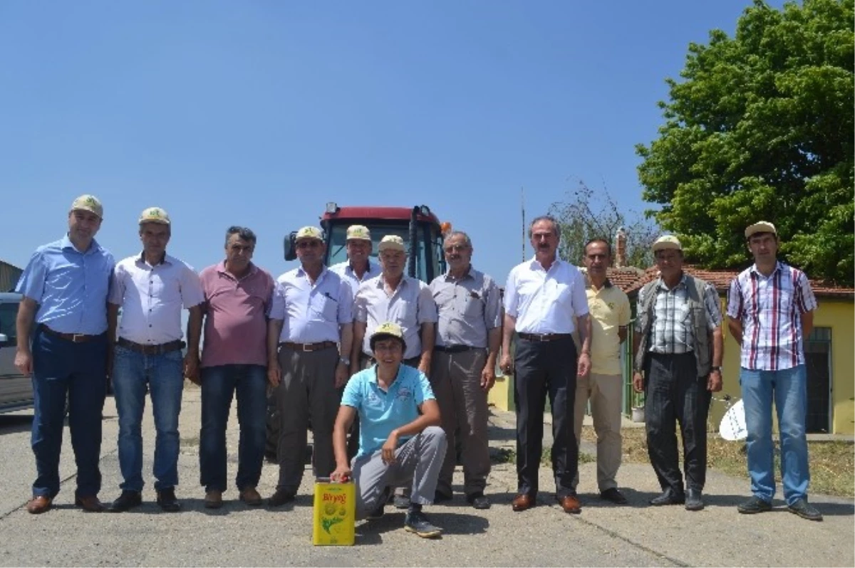 Lüleburgaz\'da Sezonun İlk Ayçiçeği Alımı Gerçekleşti