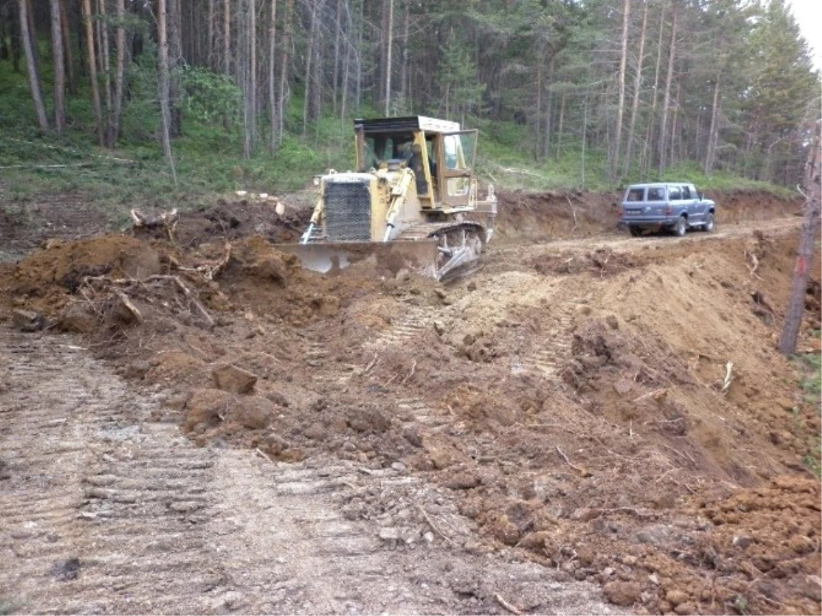 2019\'a Kadar 8 Bin 500 Kilometre Yeni Orman Yolu Yapılacak