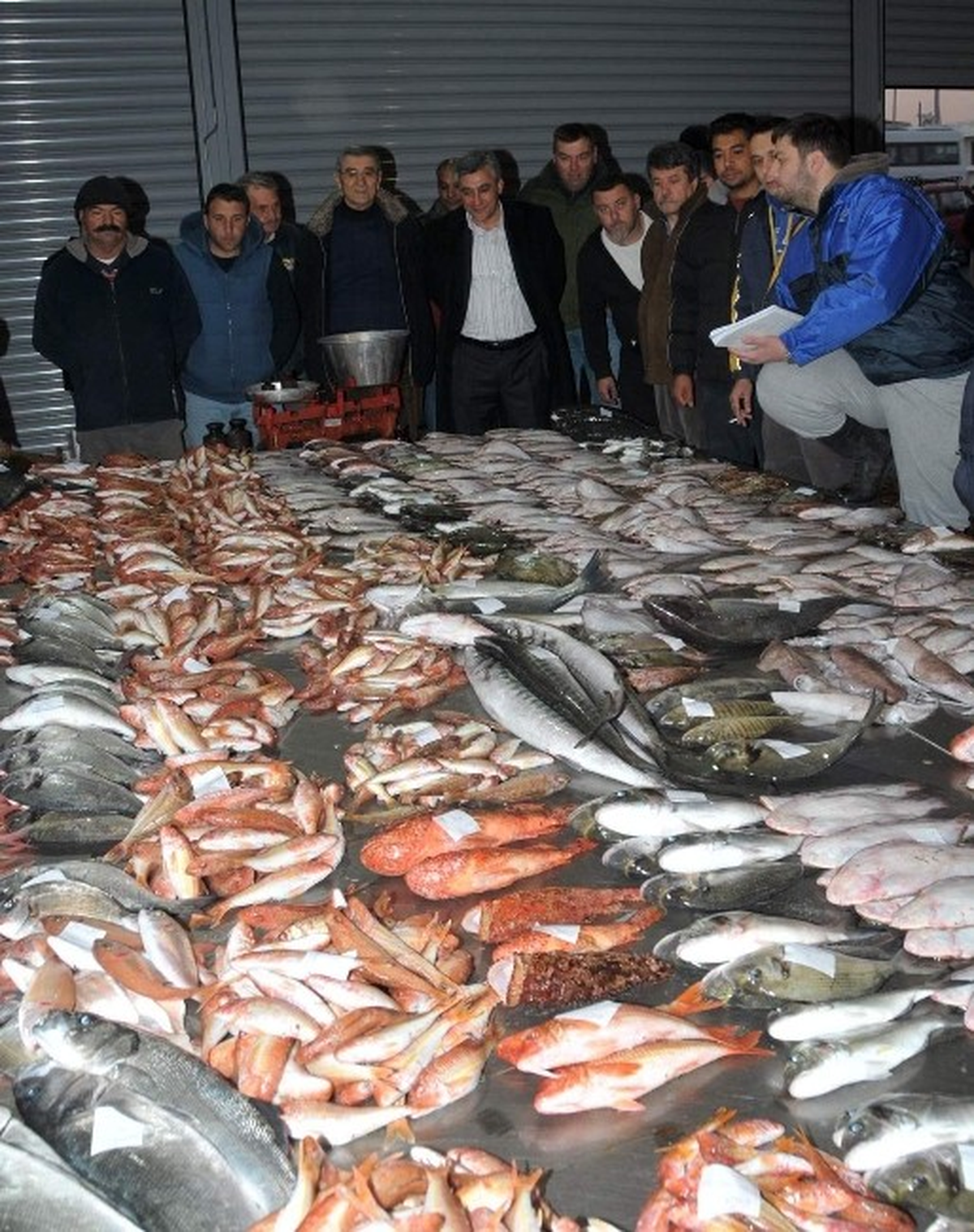 Balıkçılar Güzelbahçe\'de Buluşacak