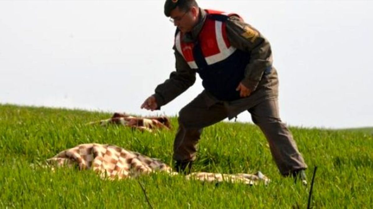Bartın\'da Şüpheli Ölüm