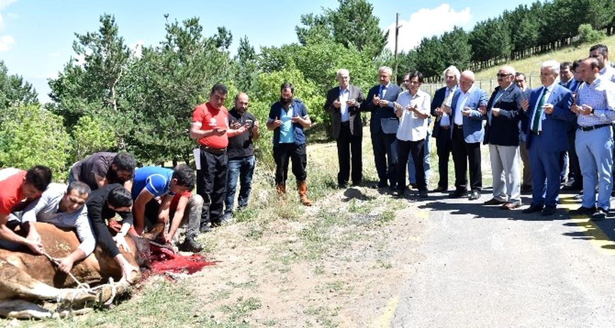 Başkan Sekmen\'den Şükür Kurbanı