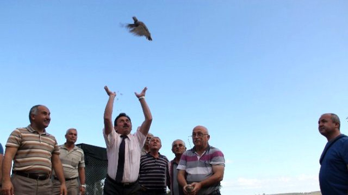 Çanakkale\'de Yanan Ormanlık Alana Keklik Salındı