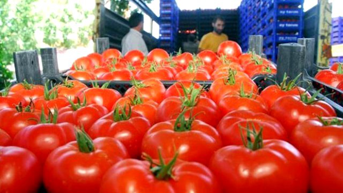 Van\'da Temmuz Ayının Zam Şampiyonu Domates Oldu