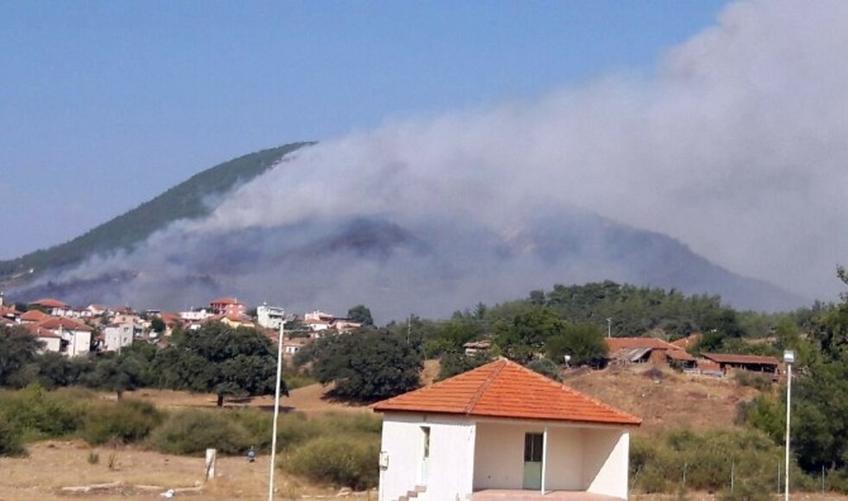 İzmir\'de Çıkan Orman Yangını Genişliyor